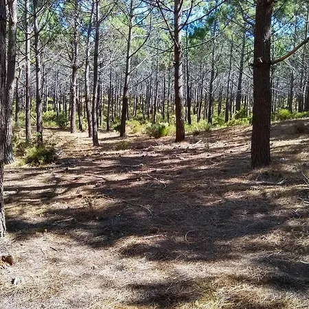 Lejlighed Gino's House