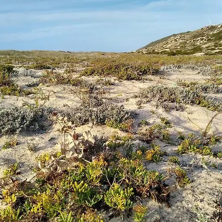 Apartamento Gino's House *