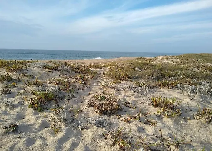 Gino's House Apartment Nazaré